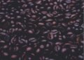 Best Foods for Your Heart