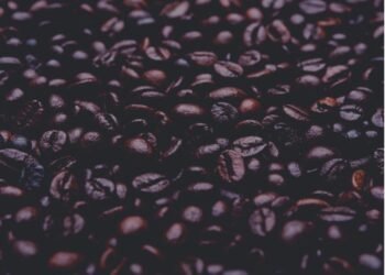 Best Foods for Your Heart