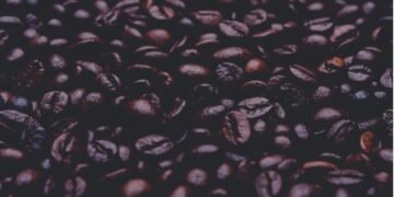 Best Foods for Your Heart