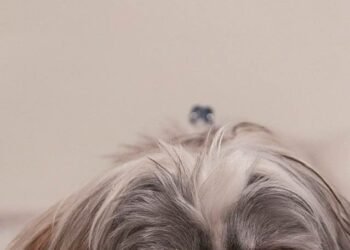 Things That Are Ruining Your Sleep