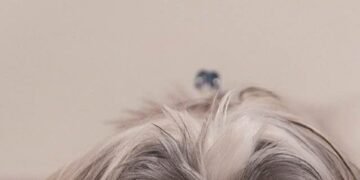 Things That Are Ruining Your Sleep