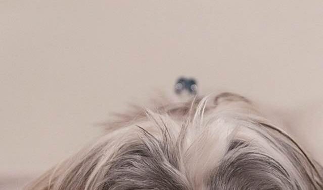 Things That Are Ruining Your Sleep