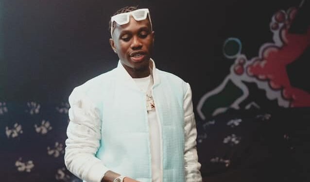 Zlatan Ibile