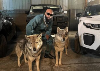 Kaaris biography