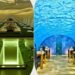 Most Expensive Restaurants In The World