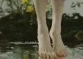 How to Fix Cracked Heels at Home