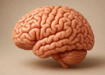 Unlock Your Brain