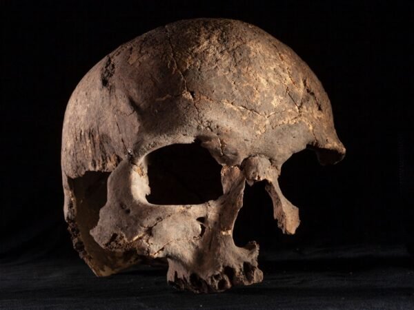 Iho Eleru Skull